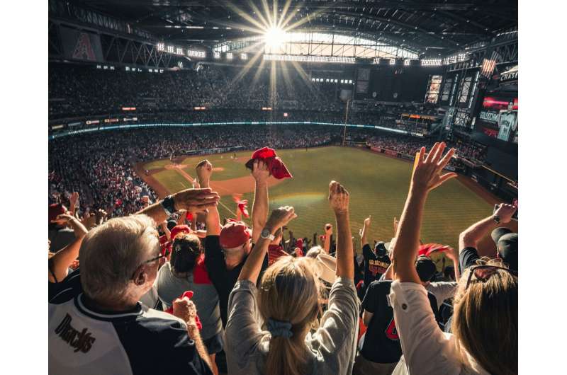 The culture of a sports fan